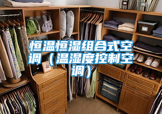 恒溫恒濕組合式空調（溫濕度控制空調）