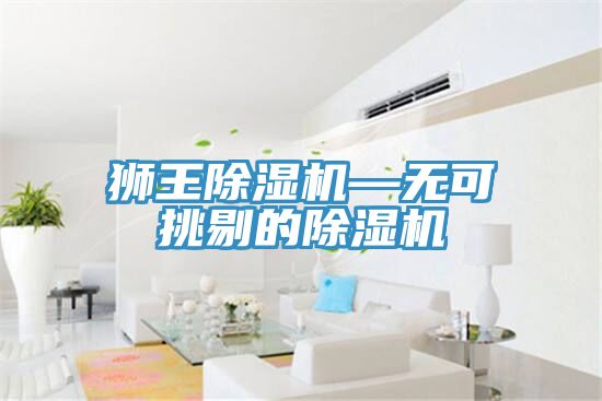 獅王除濕機—無(wú)可挑剔的除濕機