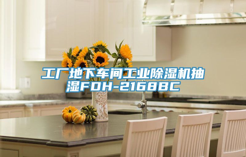 工廠(chǎng)地下車(chē)間工業(yè)除濕機抽濕FDH-2168BC