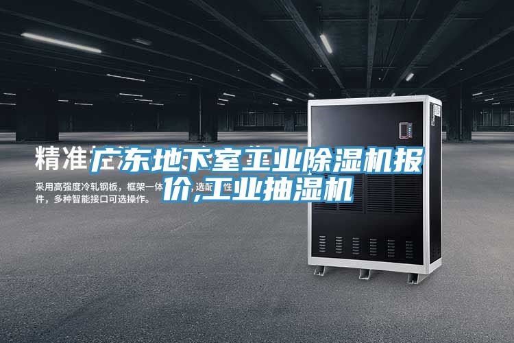 廣東地下室工業(yè)除濕機報價(jià),工業(yè)抽濕機