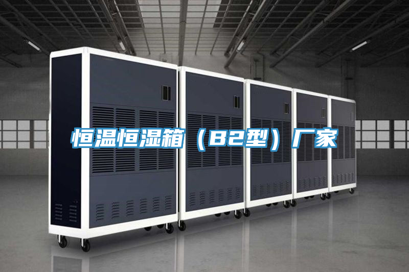 恒溫恒濕箱（B2型）廠(chǎng)家