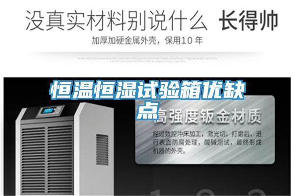 恒溫恒濕試驗箱優(yōu)缺點(diǎn)