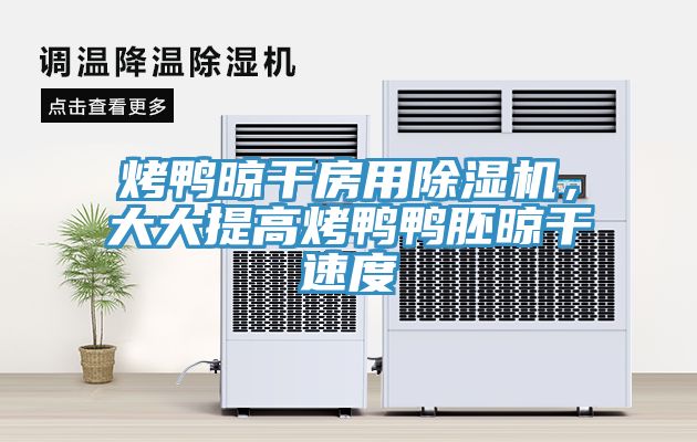 烤鴨晾干房用除濕機，大大提高烤鴨鴨胚晾干速度