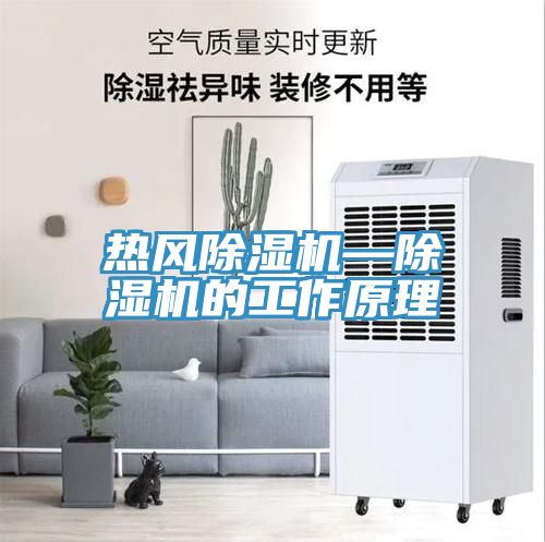 熱風(fēng)除濕機—除濕機的工作原理