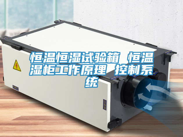 恒溫恒濕試驗箱 恒溫濕柜工作原理 控制系統