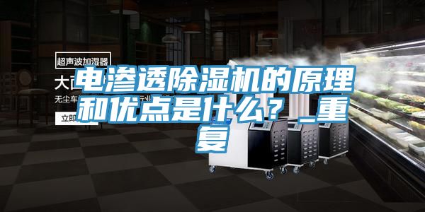 電滲透除濕機的原理和優(yōu)點(diǎn)是什么？_重復