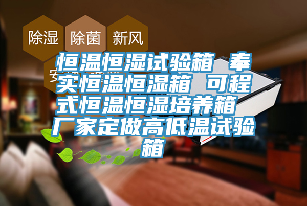 恒溫恒濕試驗箱 奉實(shí)恒溫恒濕箱 可程式恒溫恒濕培養箱 廠(chǎng)家定做高低溫試驗箱