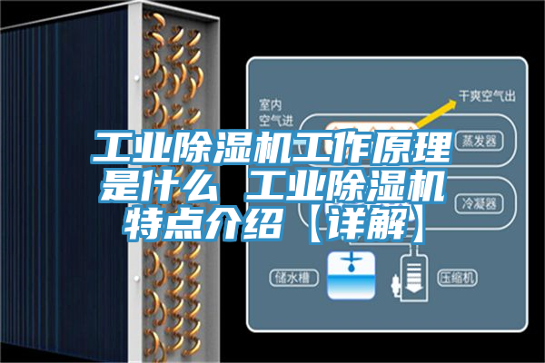 工業(yè)除濕機工作原理是什么 工業(yè)除濕機特點(diǎn)介紹【詳解】