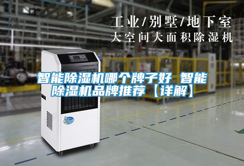 智能除濕機哪個(gè)牌子好 智能除濕機品牌推薦【詳解】
