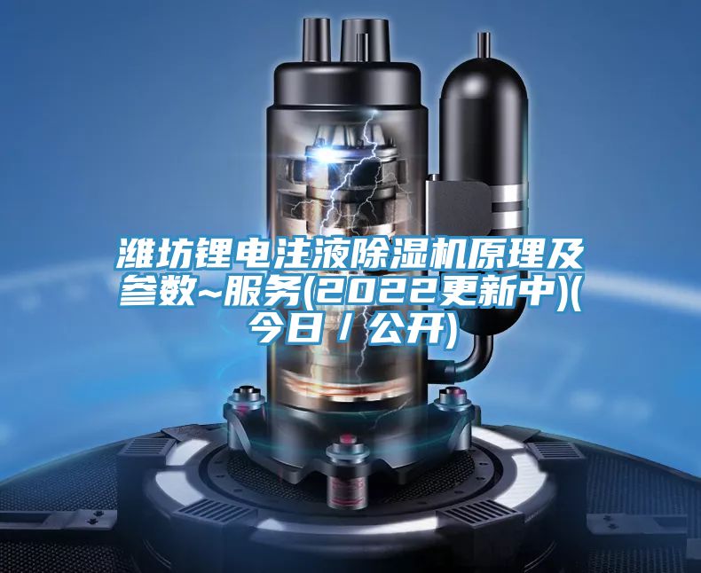 濰坊鋰電注液除濕機原理及參數~服務(wù)(2022更新中)(今日／公開(kāi))