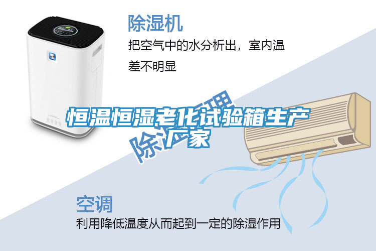 恒溫恒濕老化試驗箱生產(chǎn)廠(chǎng)家