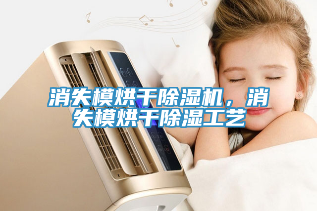 消失模烘干除濕機，消失模烘干除濕工藝