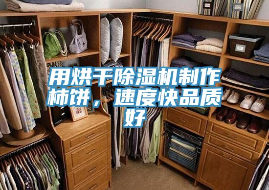用烘干除濕機制作柿餅，速度快品質(zhì)好