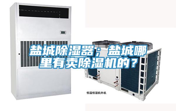 鹽城除濕器；鹽城哪里有賣(mài)除濕機的？
