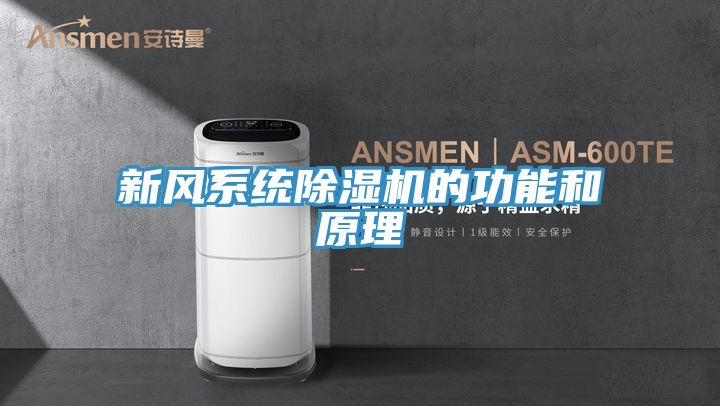新風(fēng)系統除濕機的功能和原理