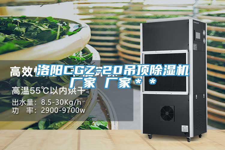 洛陽(yáng)CGZ-20吊頂除濕機廠(chǎng)家 廠(chǎng)家＊＊