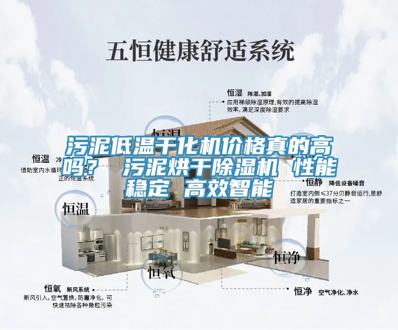 污泥低溫干化機價(jià)格真的高嗎？ 污泥烘干除濕機 性能穩定 高效智能