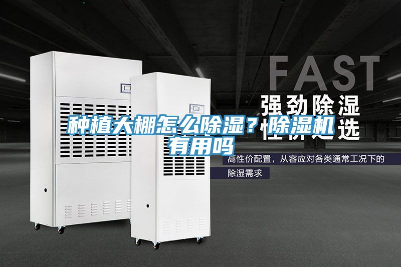 種植大棚怎么除濕？除濕機有用嗎