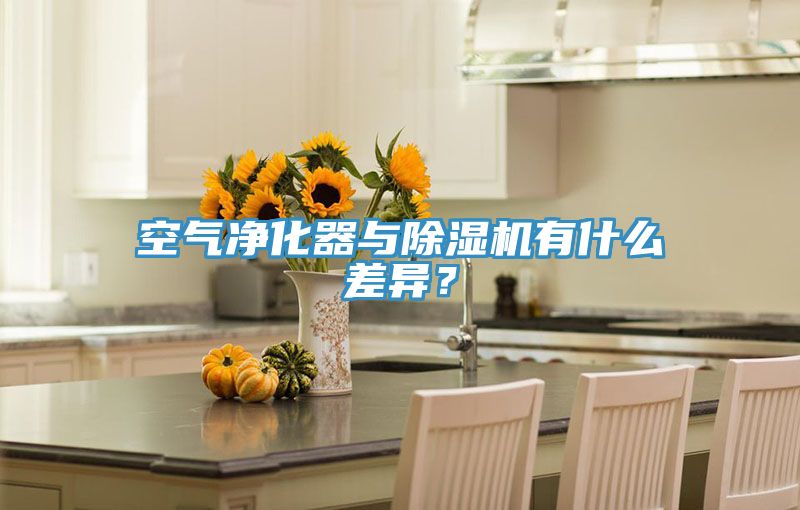 空氣凈化器與除濕機有什么差異？