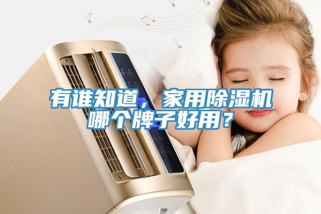 有誰(shuí)知道，家用除濕機哪個(gè)牌子好用？