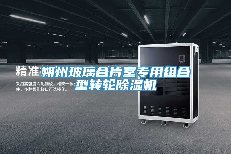 朔州玻璃合片室專(zhuān)用組合型轉輪除濕機