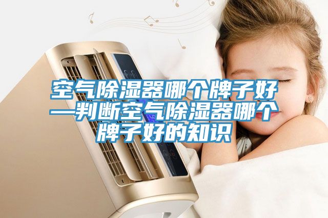 空氣除濕器哪個(gè)牌子好—判斷空氣除濕器哪個(gè)牌子好的知識