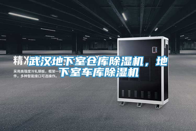 武漢地下室倉庫除濕機，地下室車(chē)庫除濕機