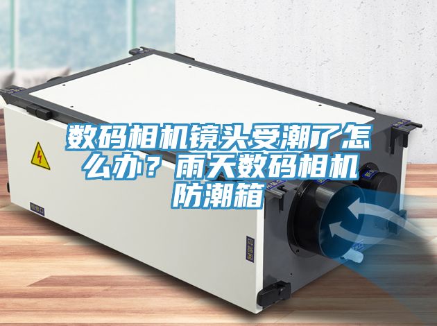 數碼相機鏡頭受潮了怎么辦？雨天數碼相機防潮箱