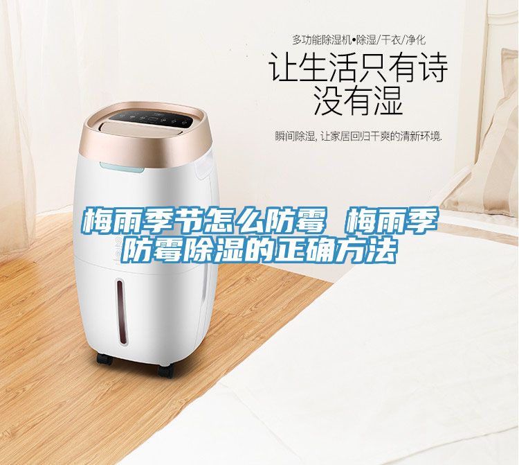 梅雨季節怎么防霉 梅雨季防霉除濕的正確方法