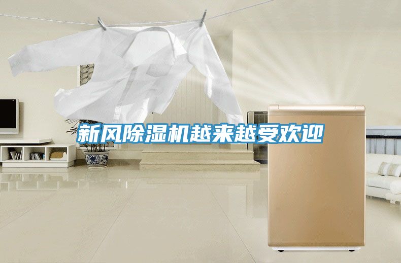 新風(fēng)除濕機越來(lái)越受歡迎