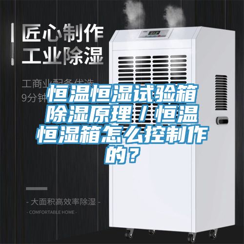 恒溫恒濕試驗箱除濕原理／恒溫恒濕箱怎么控制作的？