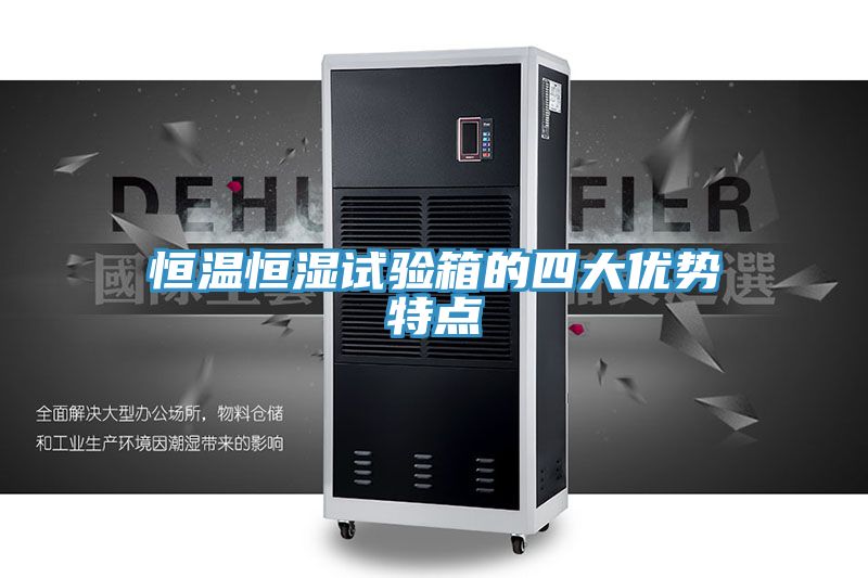 恒溫恒濕試驗箱的四大優(yōu)勢特點(diǎn)
