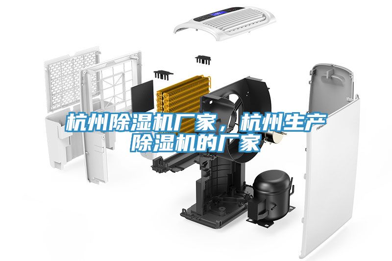 杭州除濕機廠(chǎng)家，杭州生產(chǎn)除濕機的廠(chǎng)家