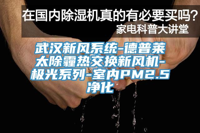 武漢新風(fēng)系統-德普萊太除霾熱交換新風(fēng)機-極光系列-室內PM2.5凈化