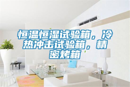 恒溫恒濕試驗箱，冷熱沖擊試驗箱，精密烤箱