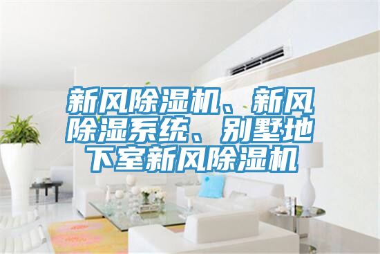 新風(fēng)除濕機、新風(fēng)除濕系統、別墅地下室新風(fēng)除濕機