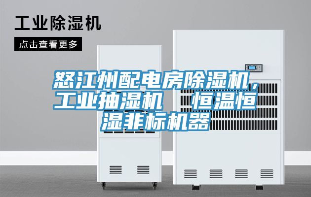 怒江州配電房除濕機，工業(yè)抽濕機  恒溫恒濕非標機器
