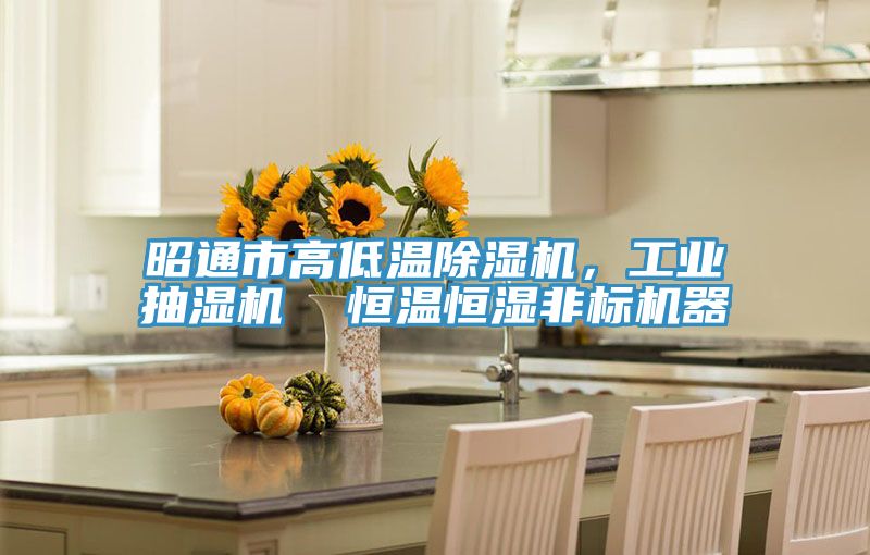 昭通市高低溫除濕機，工業(yè)抽濕機  恒溫恒濕非標機器