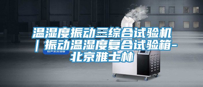 溫濕度振動(dòng)三綜合試驗機｜振動(dòng)溫濕度復合試驗箱-北京雅士林