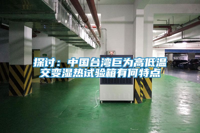 探討：中國臺灣巨為高低溫交變濕熱試驗箱有何特點(diǎn)