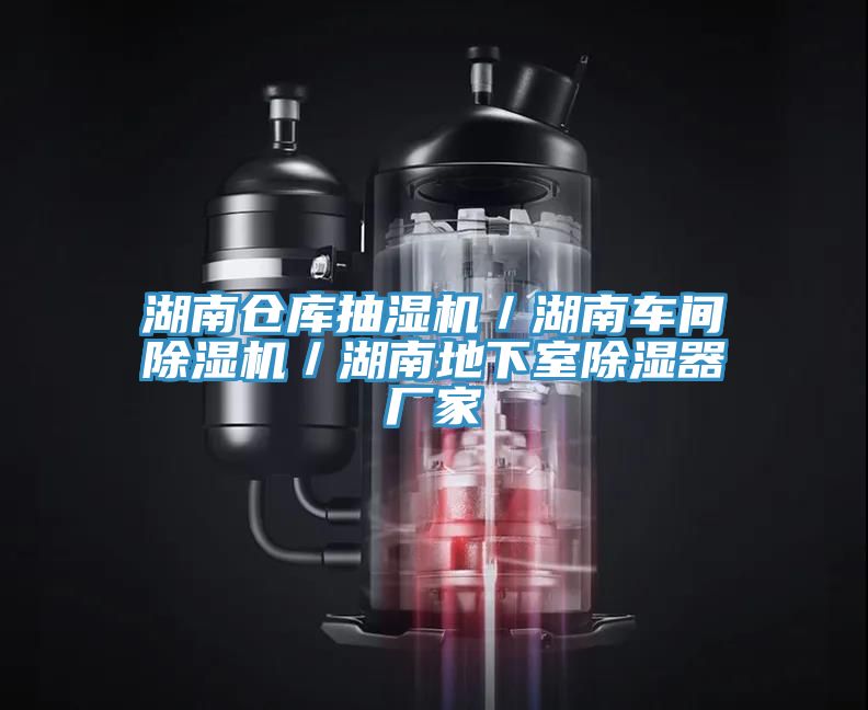 湖南倉庫抽濕機／湖南車(chē)間除濕機／湖南地下室除濕器廠(chǎng)家