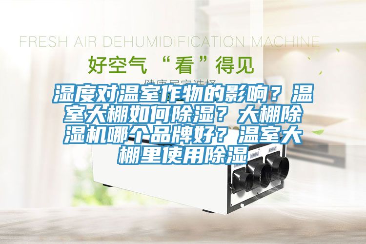濕度對溫室作物的影響？溫室大棚如何除濕？大棚除濕機哪個(gè)品牌好？溫室大棚里使用除濕