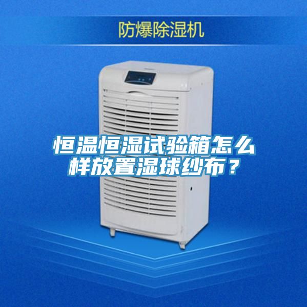 恒溫恒濕試驗箱怎么樣放置濕球紗布？