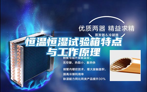 恒溫恒濕試驗箱特點(diǎn)與工作原理