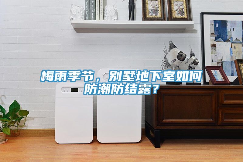 梅雨季節，別墅地下室如何防潮防結露？