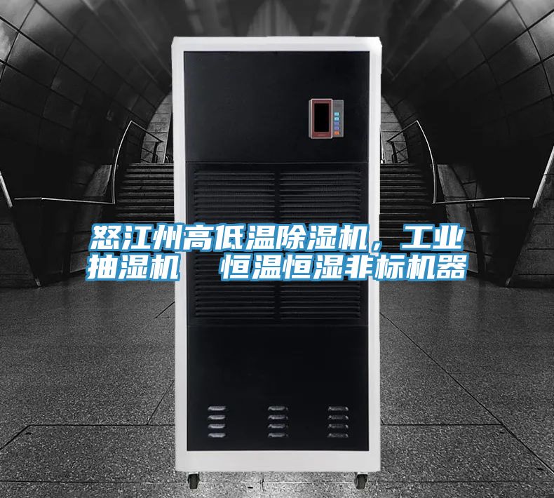 怒江州高低溫除濕機，工業(yè)抽濕機  恒溫恒濕非標機器