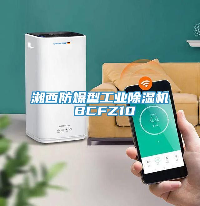 湘西防爆型工業(yè)除濕機 BCFZ10