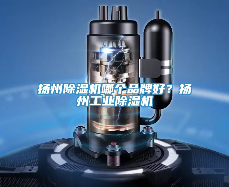 揚州除濕機哪個(gè)品牌好？揚州工業(yè)除濕機