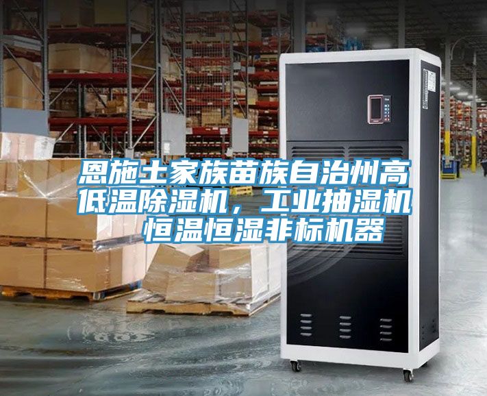 恩施土家族苗族自治州高低溫除濕機，工業(yè)抽濕機  恒溫恒濕非標機器