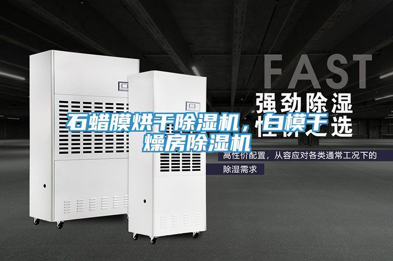 石蠟膜烘干除濕機，白模干燥房除濕機